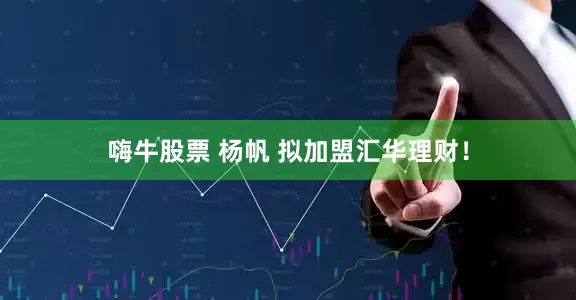 嗨牛股票 杨帆 拟加盟汇华理财！